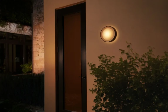 Philips Hue WCA Daylo Outdoor Wall Lantern, Black  |  15 W  |  2000-6500 Hue White Colour Ambiance