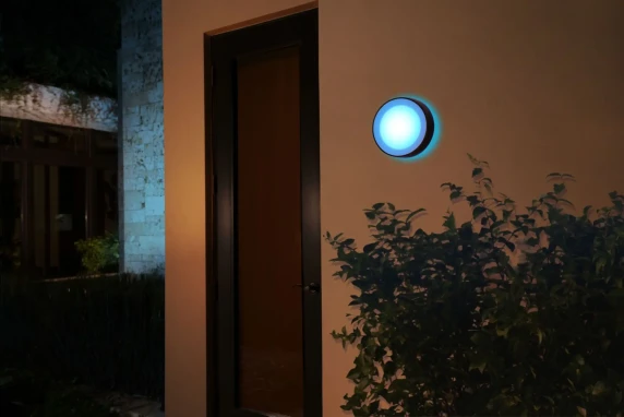 Philips Hue WCA Daylo Outdoor Wall Lantern, Black  |  15 W  |  2000-6500 Hue White Colour Ambiance