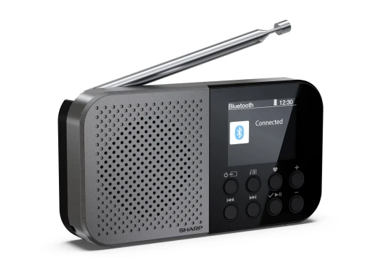 Sharp OSAKA Pocket / Handheld Portable Digital Radio  |  DR-P520(GY)  |  Bluetooth