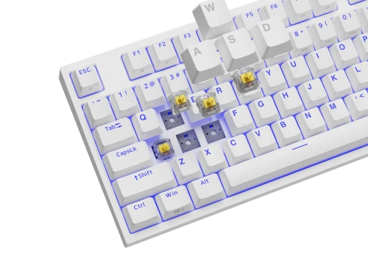 Genesis  |  Mechanical Gaming Keyboard  |  THOR 404 TKL RGB  |  White  |  Mechanical Gaming Keyboard  |  Wired  |  US  |  USB Type-A  |  1005 g  |  Gateron Yellow Pro