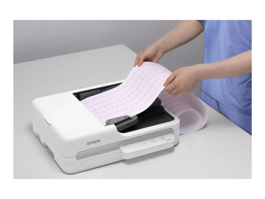 Epson Scanner  |  WorkForce DS-1730  |  Colour