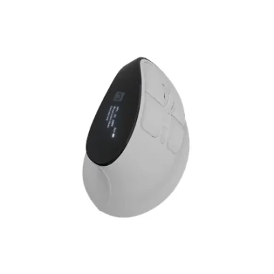 Natec pele  |  Euphonie Pro  |  Bezvadu  |  2.4 GHz, Bluetooth  |  Balta