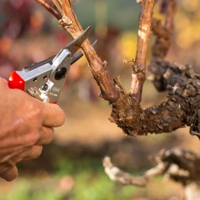 Felco  |  One-hand pruning shear  |  FELCO 6