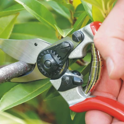 Felco  |  One-hand pruning shear  |  FELCO 6