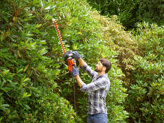 BLACK & DECKER  |  Кусторез  |  BEHTS451-QS  |  550 Вт
