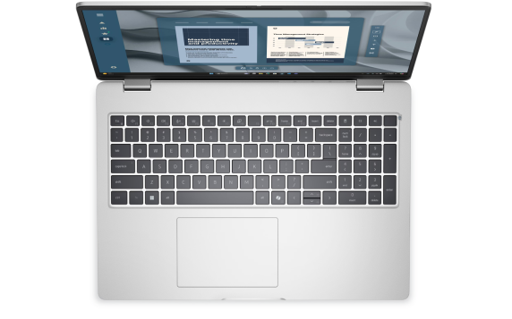 Dell Pro 16 PC16255  |  Platinum Silver  |  16 "  |  IPS  |  Touchscreen  |  FHD+  |  1920 x 1200 pixels  |  Anti-glare  |  AMD Ryzen AI 7 PRO  |  350  |  32 GB  |  DDR5  |  Solid-state drive capacity 512 GB  |  AMD Radeon 860M Graphics  |  Windows 11 Pro