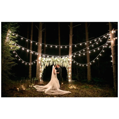 LED outdoor 10m garland for garden and terraces for E27 lamps, 20 sockets for bulbs,, step 50 cm