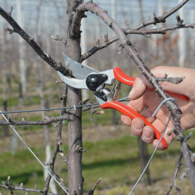 Felco  |  One-hand pruning shear  |  FELCO 2