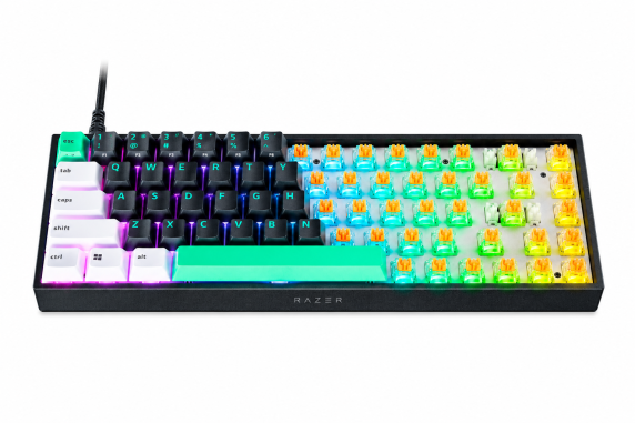 Razer  |  Reclusa X Mini 65%  |  Mechanical Gaming Keyboard  |  Wired  |  US  |  Razer Mechanical Switches Gen-3 (Tactile)  |  Black