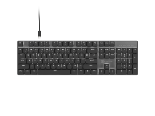 Natec Amberjack  |  Tastatūra  |  Vadu  |  ASV  |  Lineārs  |  Balta aizmugures apgaismojums, Karstās maiņas slēdži, Pretspoku funkcija, Iebūvēta atmiņa, Makro ierakstīšana  |  Melna / Pelēka