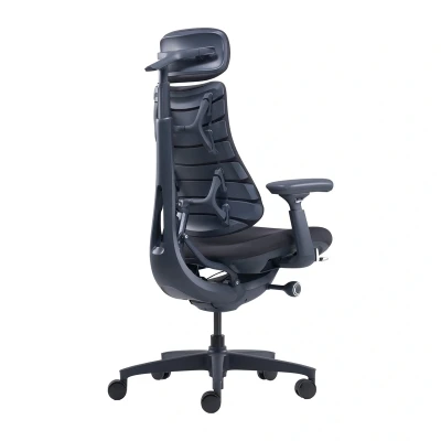 LiberNovo Omni 45 cm Ergonomic Chair (Black)