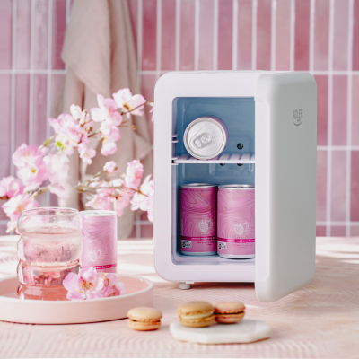 Mini Refrigerator  |  AD 8084  |  Adler Free standing  |  Height 27 cm  |  Larder  |  Fridge net capacity 4 L  |  Grey