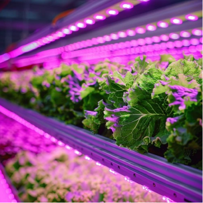 LED Lente priekš augiem 5W