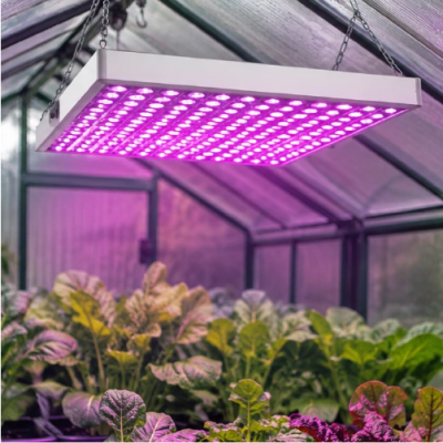 LED Grow Light Panel, 36W