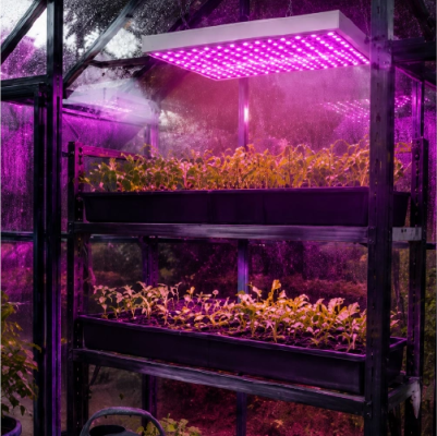 LED Grow Light Panel, 36W