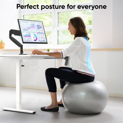 DESK FRAME MOTORISED / WHITE WDF221E-W ONKRON