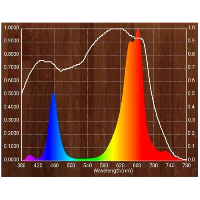 Fitolampa augiem un stādiem dažādām augšanas fāzēm