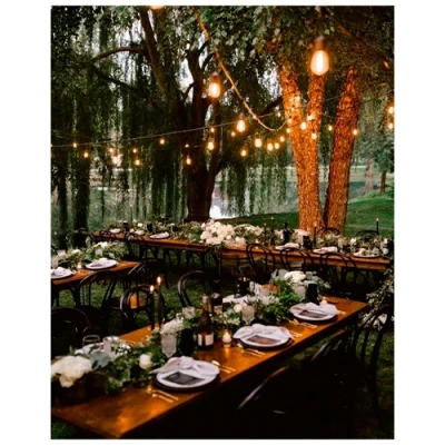 LED уличная 1м гирлянда для сада и террас для ламп Е27