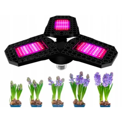 LED Fito lamp for plants and seedlings