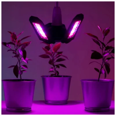 LED Fito lamp for plants and seedlings
