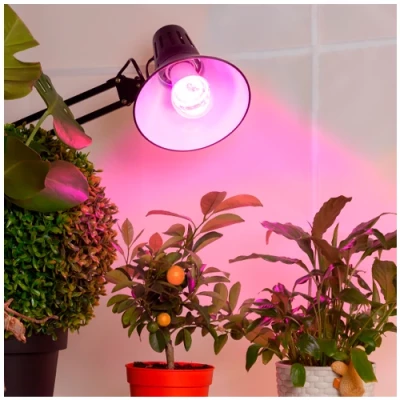LED Fito lamp for plants and seedlings 15W