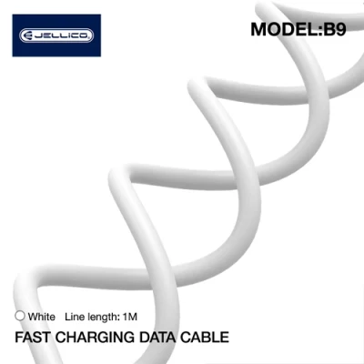 Fast charging cable USB-C (Type-C) — USB-C (Type-C), 1m, 3,1А