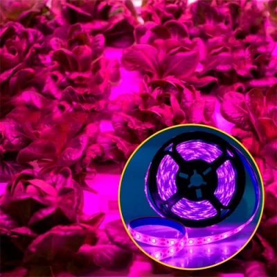 LED Grow strip for plants 3m, IP20, USB 5V
