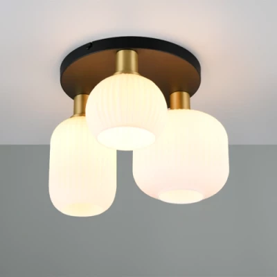 Потолочный светильник DIVA, excl. 3xE27, max 10W, IP20