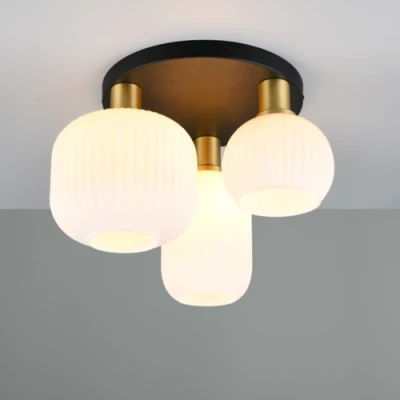 Потолочный светильник DIVA, excl. 3xE27, max 10W, IP20