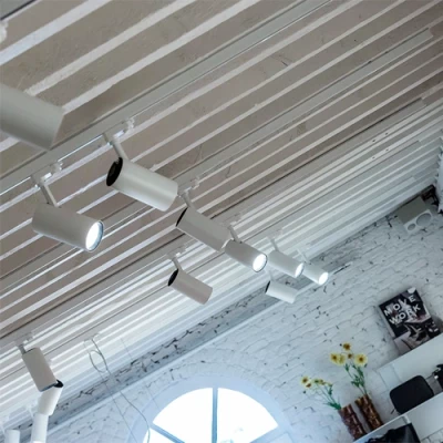 LED Рельсовый светильник IDAR, 1F, excl. GU10, max 35W, IP20