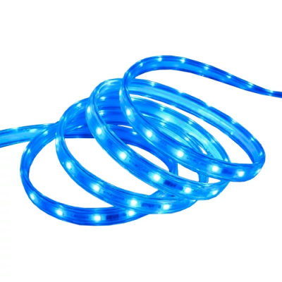 LED Lente saunai un pirtij 2835, RGB, IP68, 24V, 14W