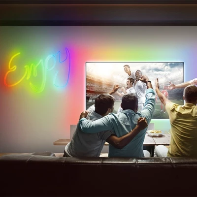 Smart LED neon strip with remote 5m, 4.8W/m, RGB, IP44