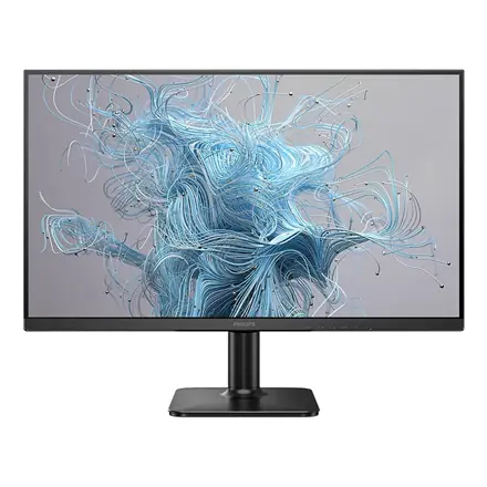 Philips  |  24E2N1100LB / 00  |